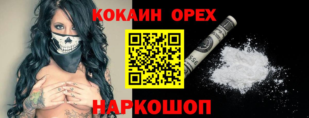 COCAIN Columbia Петропавловск-Камчатский