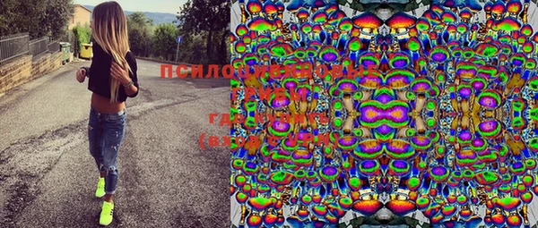 прущая мука Кулебаки