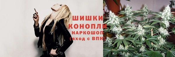 ГАЛЛЮЦИНОГЕННЫЕ ГРИБЫ Краснотурьинск