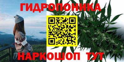дживик Жуковский