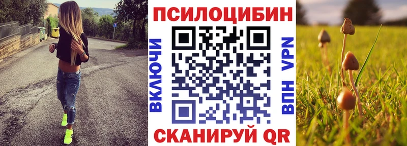 Галлюциногенные грибы Cubensis ОМГ ОМГ как зайти Петропавловск-Камчатский