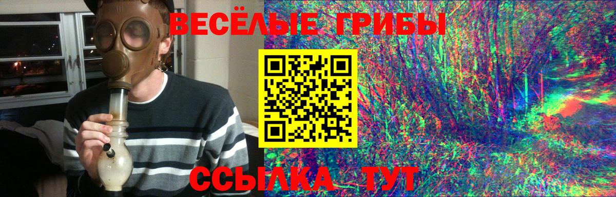 где найти   Псилоцибиновые грибы прущие грибы  Вход с VPN  Петропавловск-Камчатский 