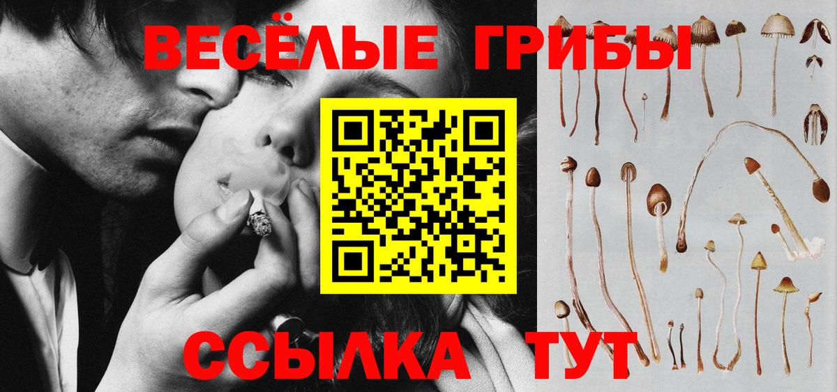 Псилоцибиновые грибы MAGIC MUSHROOMS  Петропавловск-Камчатский 